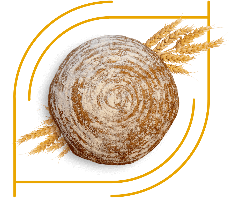 Ilustrační foto Lomnický chléb a obilí